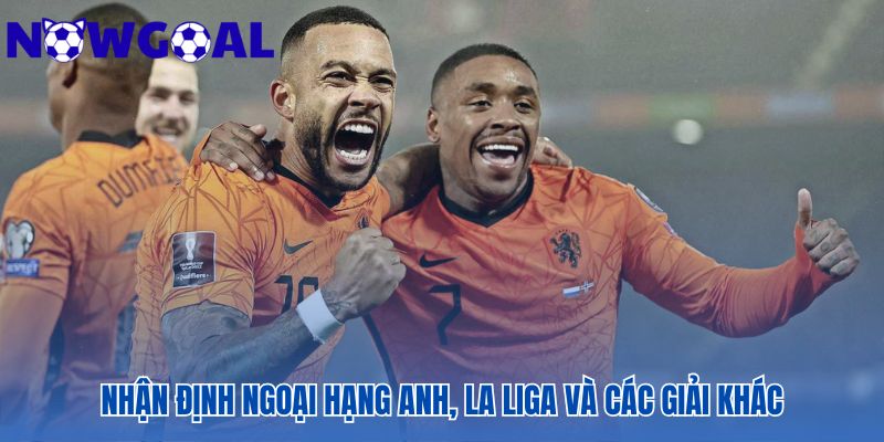 Cung cấp nhận định bóng đá hôm nay cho mọi giải đấu hàng đầu