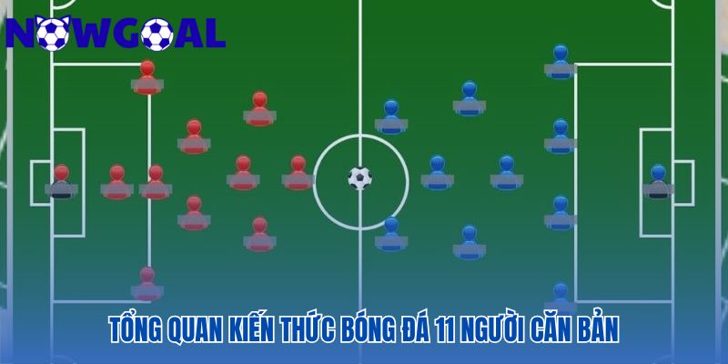 Năm yếu tố chủ chốt định hình kiến thức bóng đá 11 người căn bản